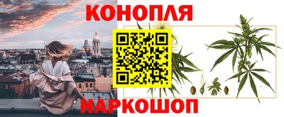 спиды Жуковский