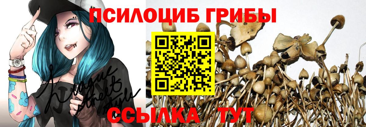 Псилоцибиновые грибы ЛСД Фурманов