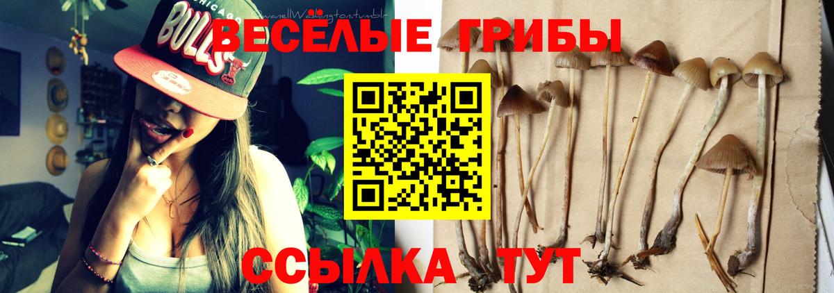 Фурманов  Псилоцибиновые грибы Magic Shrooms  Вход с VPN 